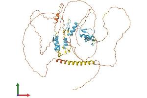 Protein Structure (PS) image for ZIC2 (ZIC2) (AA 1-532) protein (His tag) (ABIN7556076)