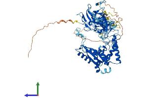 AlphaFold protein structure predicition of Human Recombinant SETMAR Protein, UniprotID Q53H47