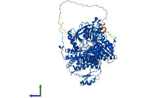AlphaFold protein structure predicition of Human Recombinant ACLY Protein, UniprotID P53396