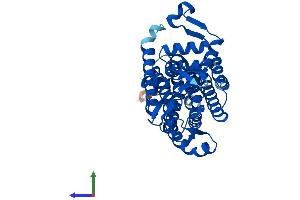 AlphaFold protein structure predicition of Mouse Recombinant Dpagt1 Protein, UniprotID P42867