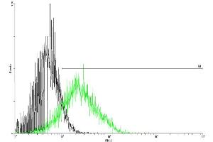 FACS analysis of negative control 293 cells (Black) and CSF2RA expressing 293 cells (Green) using CSF2RA purified MaxPab mouse polyclonal antibody. (CSF2RA 抗体  (AA 1-400))