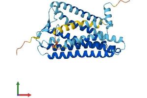 Protein Structure (PS) image for Olfactory Receptor, Family 6, Subfamily B, Member 2 (OR6B2) (AA 1-312) protein (His tag) (ABIN7550182)