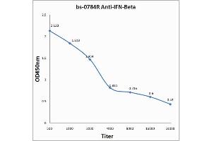 Antigen: 0. (IFNB1 抗体  (AA 101-184))
