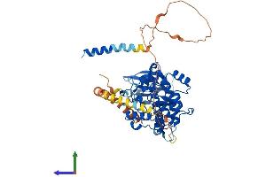 Protein Structure (PS) image for Vaccinia Related Kinase 2 (VRK2) (AA 1-508) protein (His tag) (ABIN7556009)