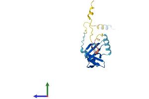 Protein Structure (PS) image for Basic Transcription Factor 3-Like 4 (BTF3L4) (AA 1-158) protein (His tag) (ABIN7560546)
