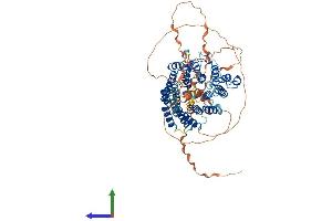 Protein Structure (PS) image for Tetratricopeptide Repeat Domain 15 (TTC15) (AA 1-735) protein (His tag) (ABIN7544730)