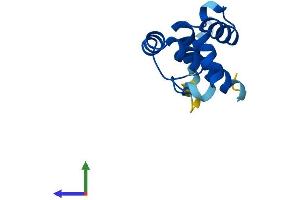 Protein Structure (PS) image for Placenta-Specific 8 (PLAC8) (AA 1-112) protein (His tag) (ABIN7561531)