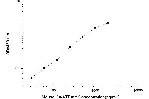 Typical standard curve (Calcium ATPase At 60A (CA-P60A) ELISA 试剂盒)