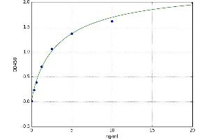A typical standard curve (FOXO3 ELISA 试剂盒)