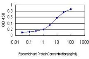 Detection limit for recombinant GST tagged INSRR is approximately 0. (INSRR 抗体  (AA 651-760))