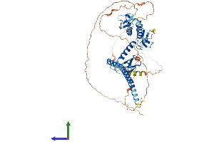 AlphaFold protein structure predicition of Mouse Recombinant Rnf217 Protein, UniprotID D3YYI7