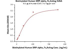 Immobilized Human CD47, His Tag (ABIN2180804,ABIN2180803) at 5 μg/mL (100 μL/well) can bind Biotinylated Human SIRP alpha, Fc,Avitag (ABIN5526676,ABIN5526677) with a linear range of 5-205 ng/mL (QC tested). (SIRPA Protein (AA 31-370) (Fc Tag,AVI tag,Biotin))