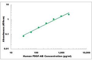 Representative Standard Curve (PDGF-AB Heterodimer ELISA 试剂盒)