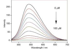 Immunofluorescence (IF) image for NpFR1 (ABIN5021889)