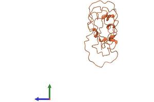 AlphaFold protein structure predicition of Human Recombinant KRTAP5-9 Protein, UniprotID P26371