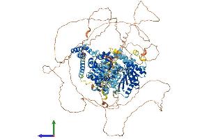 Protein Structure (PS) image for Excision Repair Cross-Complementing Rodent Repair Deficiency, Complementation Group 6-Like (ERCC6L) (AA 1-1240) protein (His tag) (ABIN7564357)