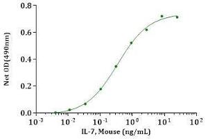 IL-7,His, Mouse stimulates cell proliferation assay using 2E8 cells. (IL-7 Protein (AA 26-154) (His tag))