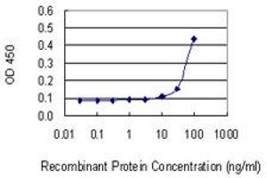 Detection limit for recombinant GST tagged PRSS21 is 10 ng/ml as a capture antibody. (PRSS21 抗体  (AA 121-220))