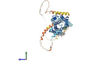 Protein Structure (PS) image for Cannabinoid Receptor 1 (CNR1) (AA 1-473) protein (His tag) (ABIN7563289)