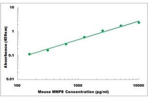 Representative Standard Curve (MMP8 ELISA 试剂盒)