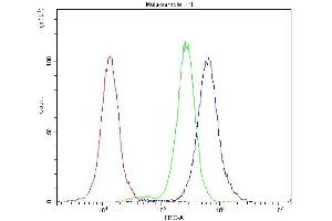 Flow Cytometry analysis of A549 cells using anti-Bcl-X antibody (ABIN4886480).