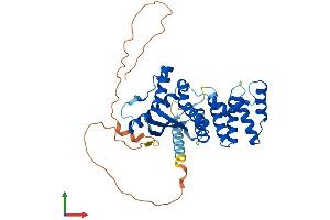 Protein Structure (PS) image for Sorting Nexin 21 (SNX21) (AA 1-363) protein (His tag) (ABIN7557261)