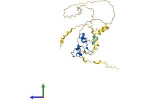 Protein Structure (PS) image for Nanos Homolog 1 (NANOS1) (AA 1-267) protein (His tag) (ABIN7558403)