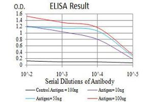 Black line: Control Antigen (100 ng),Purple line: Antigen (10 ng), Blue line: Antigen (50 ng), Red line:Antigen (100 ng) (PRDM14 抗体  (AA 4-203))