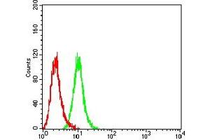 Flow Cytometry (FACS) image for anti-Actin, alpha 2, Smooth Muscle, Aorta (ACTA2) (AA 2-124) antibody (ABIN7193571)