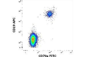 Flow cytometry multicolor intracellular staining pattern of human lymphocytes using anti-human CD79a (HM47) FITC antibody (4 μL reagent / 100 μL of peripheral whole blood) and anti-human CD19 (LT19) APC antibody (10 μL reagent / 100 μL of peripheral whole blood). (CD79a 抗体  (AA 208-222) (FITC))