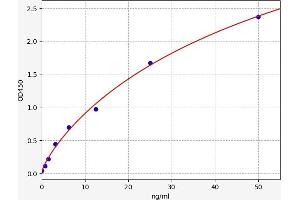 Typical standard curve