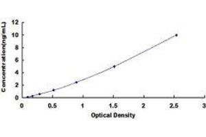 ELISA image for Platelet-Derived Growth Factor Receptor-Like (PDGFRL) ELISA Kit (ABIN418607)