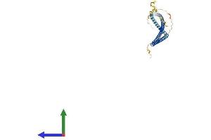 AlphaFold protein structure predicition of Human Recombinant C20orf96 Protein, UniprotID Q9NUD7