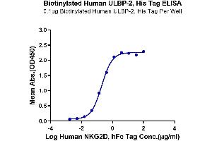 ELISA image for UL16 Binding Protein 2 (ULBP2) (AA 26-217) protein (His-Avi Tag,Biotin) (ABIN7275816)
