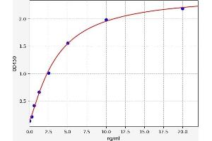 CDK5 ELISA 试剂盒