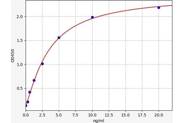 CDK5 ELISA 试剂盒