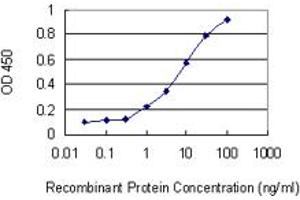 Detection limit for recombinant GST tagged PCGF5 is 0. (PCGF5 抗体  (AA 51-148))