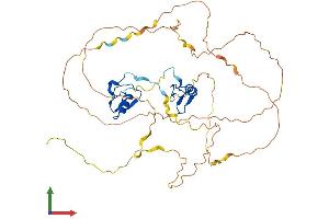 AlphaFold protein structure predicition of Human Recombinant GATA3 Protein, UniprotID P23771