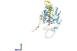 AlphaFold protein structure predicition of Human Recombinant ZNF506 Protein, UniprotID Q5JVG8