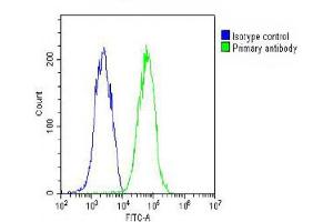 Overlay histogram showing HepG2 cells stained with (ABIN652609 and ABIN2842407) (green line). (RAB7A 抗体  (C-Term))