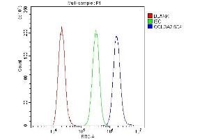 Flow Cytometry analysis of A431 cells using anti-GM130 antibody (ABIN6719433). (Golgin A2 (GOLGA2) (AA 796-913) 抗体)