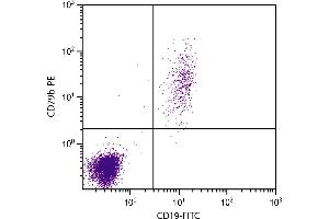 Human peripheral blood lymphocytes were stained with Mouse Anti-Human CD79b-PE. (CD79b 抗体  (PE))