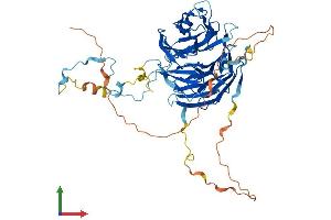 Protein Structure (PS) image for Retinoblastoma Binding Protein 5 (RBBP5) (AA 1-538) protein (His tag) (ABIN7551255)