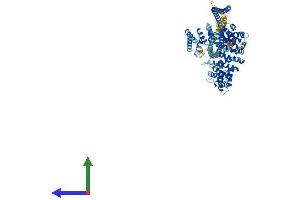 Protein Structure (PS) image for KIAA1524 (KIAA1524) (AA 1-907) protein (His tag) (ABIN7558980)