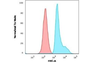 Flow Cytometric Analysis of paraformaldehyde-fixed Raji cells. (RPSA/Laminin Receptor 抗体)