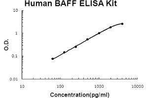 Human BAFF Accusignal ELISA Kit Human BAFF AccuSignal ELISA Kit standard curve. (BAFF ELISA 试剂盒)