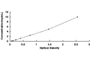 CD40 Ligand ELISA 试剂盒