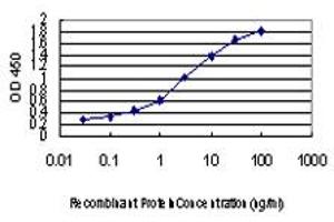Detection limit for recombinant GST tagged RNPC2 is approximately 0. (RBM39 抗体  (AA 423-472))
