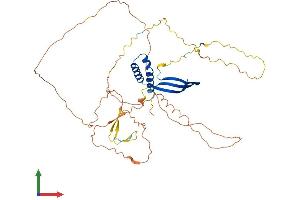 Protein Structure (PS) image for General Transcription Factor IIA, 1-Like (GTF2A1L) (AA 1-468) protein (His tag) (ABIN7559763)