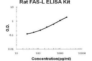 Rat FAS-L PicoKine ELISA Kit standard curve (FASL ELISA 试剂盒)